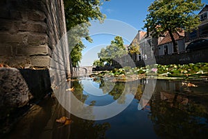 Naturally growing water plants in a Dutch city canal with flowing water and reflecting water surface.