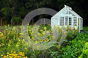 Large greenhouse