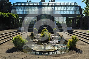 Large Greenhouse Backlit by Sunlight -- Auckland Domain, NZ