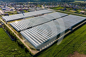 Large greenhouse complex for growing vegetables