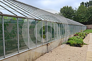 A large greenhouse in the kitchen garden of an English country house