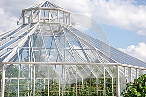 Large greenhouse from outside