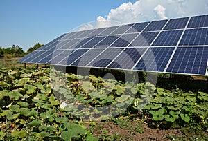 Large ground mounted residential solar panel system for efficient off grid solar power installed in home kitchen garden to produce