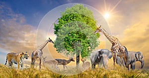 Large group of african safari animals. Wildlife conservation concept