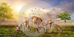 Large group of african safari animals. Wildlife conservation concept