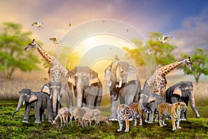 Large group of african safari animals. Wildlife conservation concept