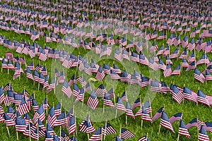 Large group of American flags on a lawn