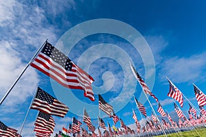 A large group of American flags. Veterans or Memorial day display