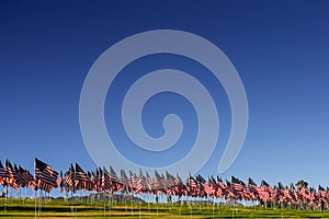 A large group of American flags. Veterans or Memorial day display