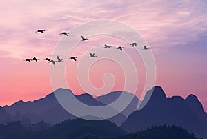 Large group birds in flight above the mountains