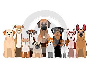 Large group of brownish dogs photo