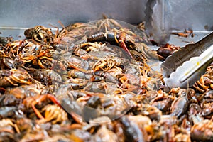 Cajun Crawfish Boil ready to eat some southern Crawdads