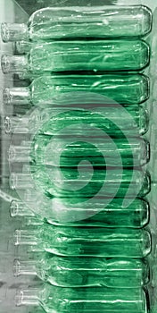 Large group of empty recycled glass bottles