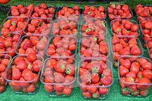 Large group fresh organic strawberries displayed in transparent plastic boxes, available for sale at a street food market, natural