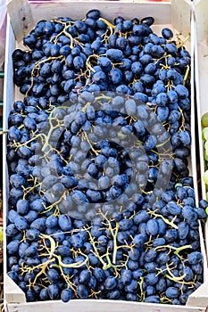 Large group of fresh ripe blue organic grapes in a small wooden box displayed for sale at a street food market