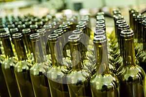 Large group of green recycled glass wine bottles at winery