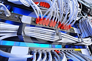 Large group of internet cabling in the data center