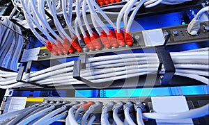 Large group of internet cabling in the data center