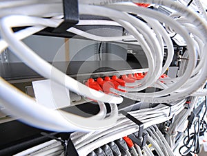 Large group of internet cabling in the data center