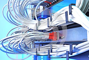 Large group of internet cabling in the data center