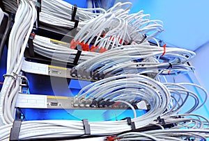 Large group of internet cabling in the data center