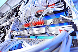 Large group of internet cabling in the data center