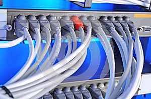 Large group of internet cabling in the data center