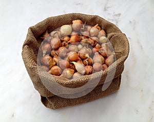 Large group of onion seeds