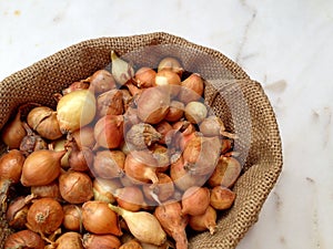 Large group of onion seeds