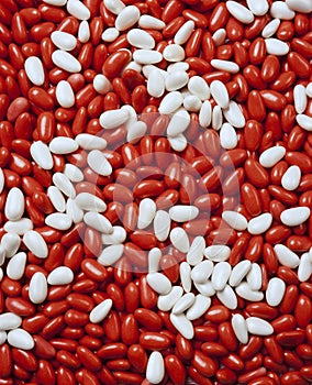 Large group of red and white candy-coated almonds still life