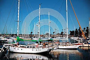 Sailboats in a harbor in San Diego