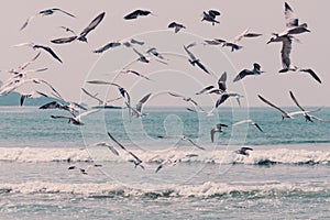 Large group of seagulls flying over the sea water.