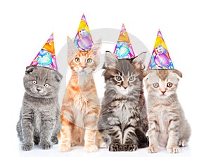 Large group of small cats with birthday hats. isolated on white