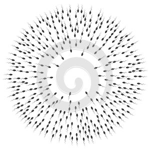 A large group of spermatozoa flows towards the target