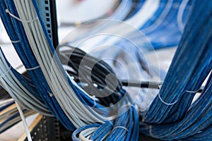 A large group of UTP cables, rack ethernet cables, patch panel UTP cables in a server rack in a data center room