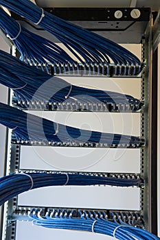 A large group of UTP cables, rack ethernet cables, patch panel UTP cables in a server rack in a data center room