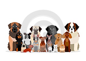 Large group of various breeds dogs