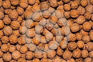 Large group of wallnut fruit background. High quality photo