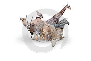 Large group of wild zoo animals together on horizontal web banner with room