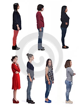Large group of women on white background