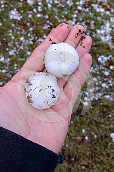 Large hail on human palm close up after hailstones thunderstorm