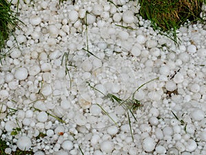 Hail on the meadow