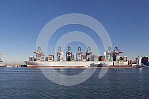 Large harbor cranes loading container ships in the port of Rotterdam
