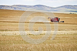 Large harvesting machine works through field