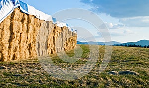 Large hay bails photo