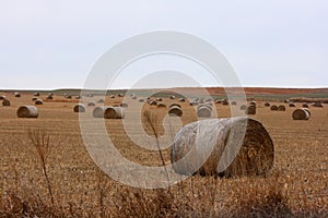 Large Hay Bales