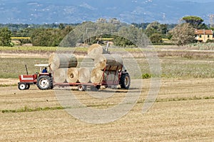 Large hay bales are loaded on a trailer in the Tuscan countryside, Italy