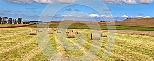 Large hay field