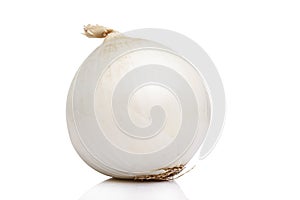 Large head of white onion. Healthy eating and vegetarianism. Virus protection during an epidemic. Isolated on a white background photo