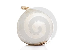 Large head of white onion. Healthy eating and vegetarianism. Virus protection during an epidemic. Isolated on a white background